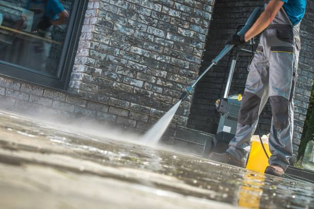 Best Spring Cleaning  in Annandale, MN