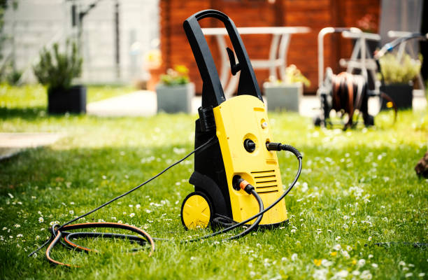 Best Solar Panel Cleaning  in Annandale, MN